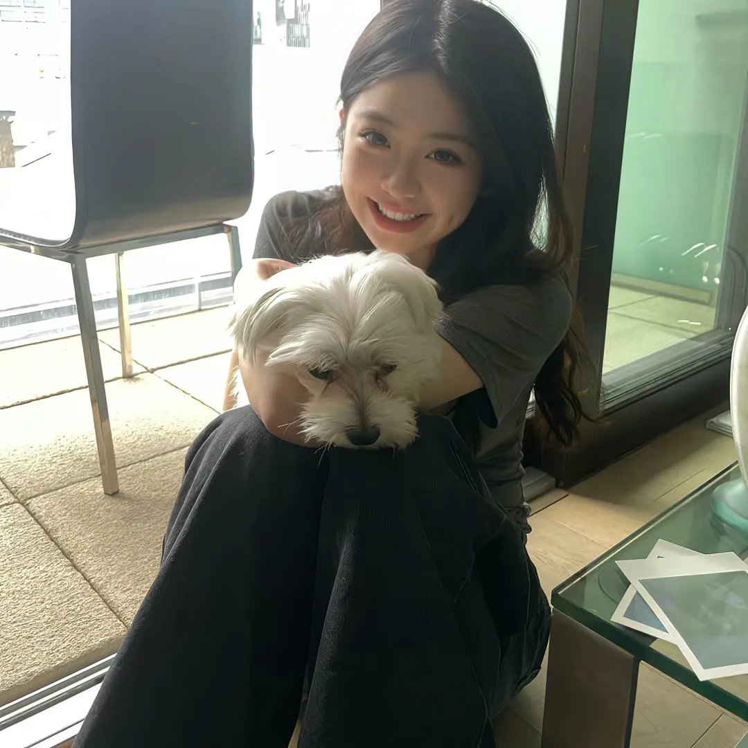 伯纳黛特你去了哪