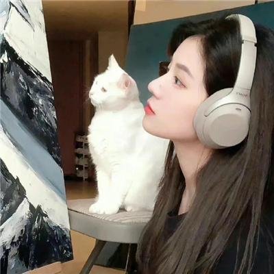 几度风雨几度秋